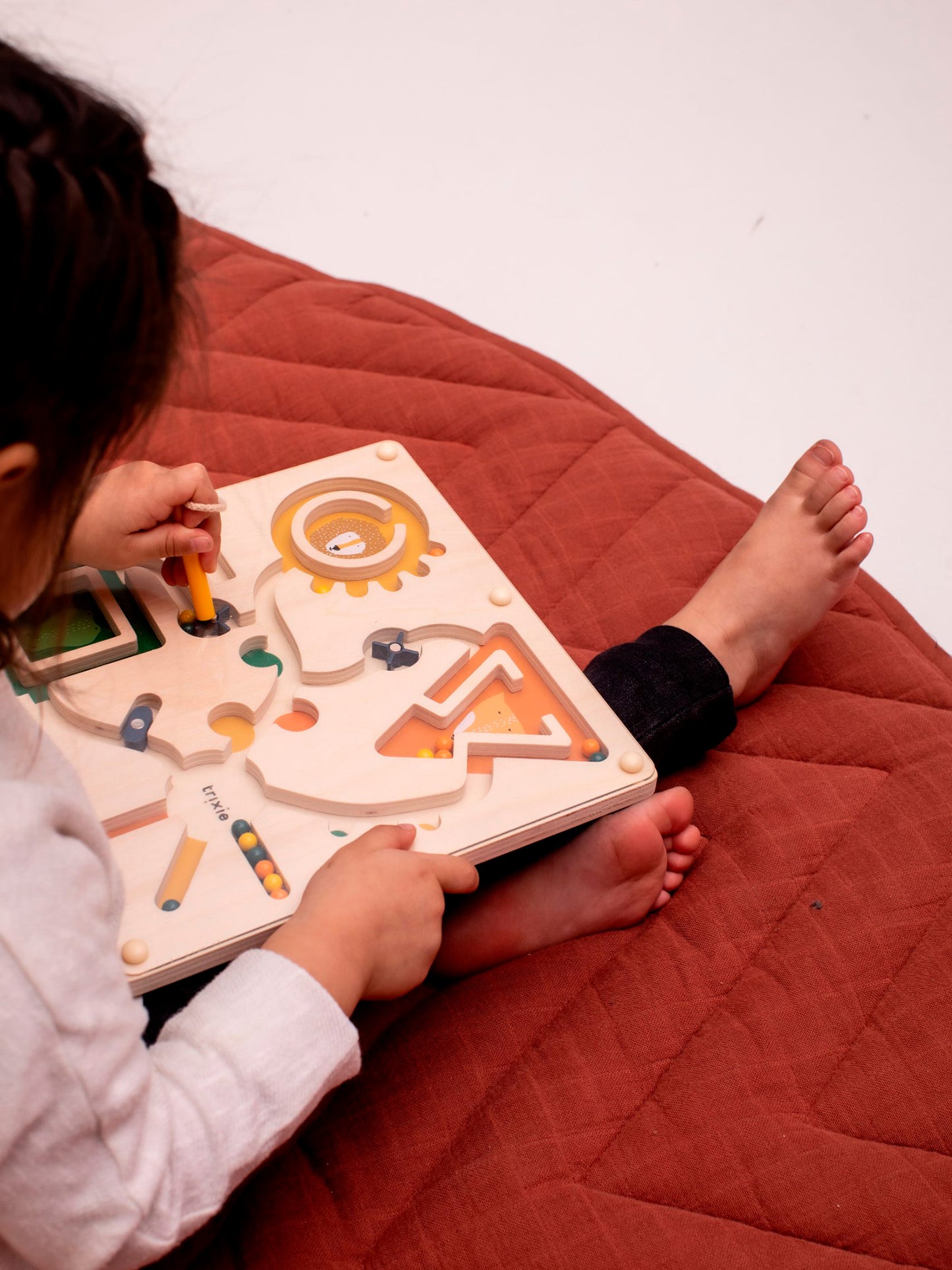 LABERINTO MAGNÉTICO ANIMALES