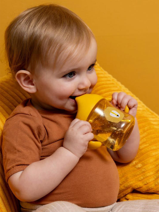 TAZA APRENDIZAJE MR. LION