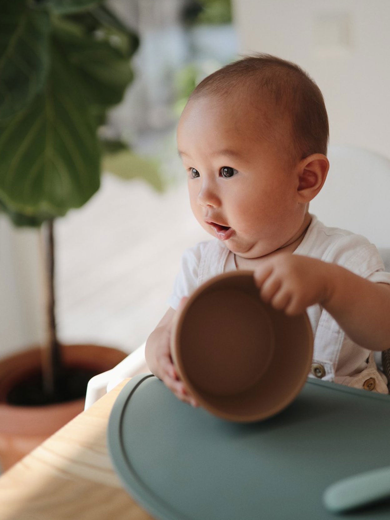 BOL SILICONA CON VENTOSA NATURAL Mushie KIDSME