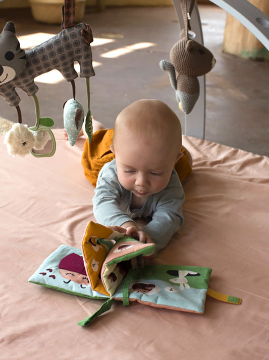 LIBRO ACTIVIDADES LADYBIRD ALGODÓN ORGÁNICO Franck Fischer KIDSME
