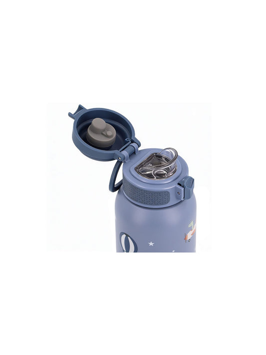 BOTELLA ACERO TÉRMICA PLANES 500ml