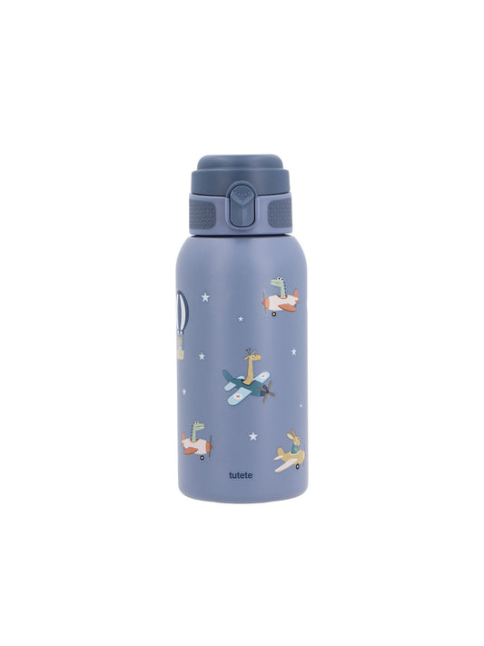 BOTELLA ACERO TÉRMICA PLANES 500ml