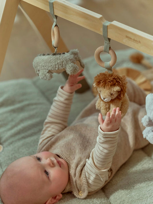 BABY GYM MADERA SAFARI FRIENDS