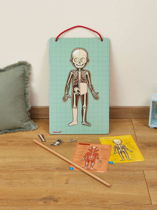 BODYMAGNET EN 12 IDIOMAS Janod KIDSME