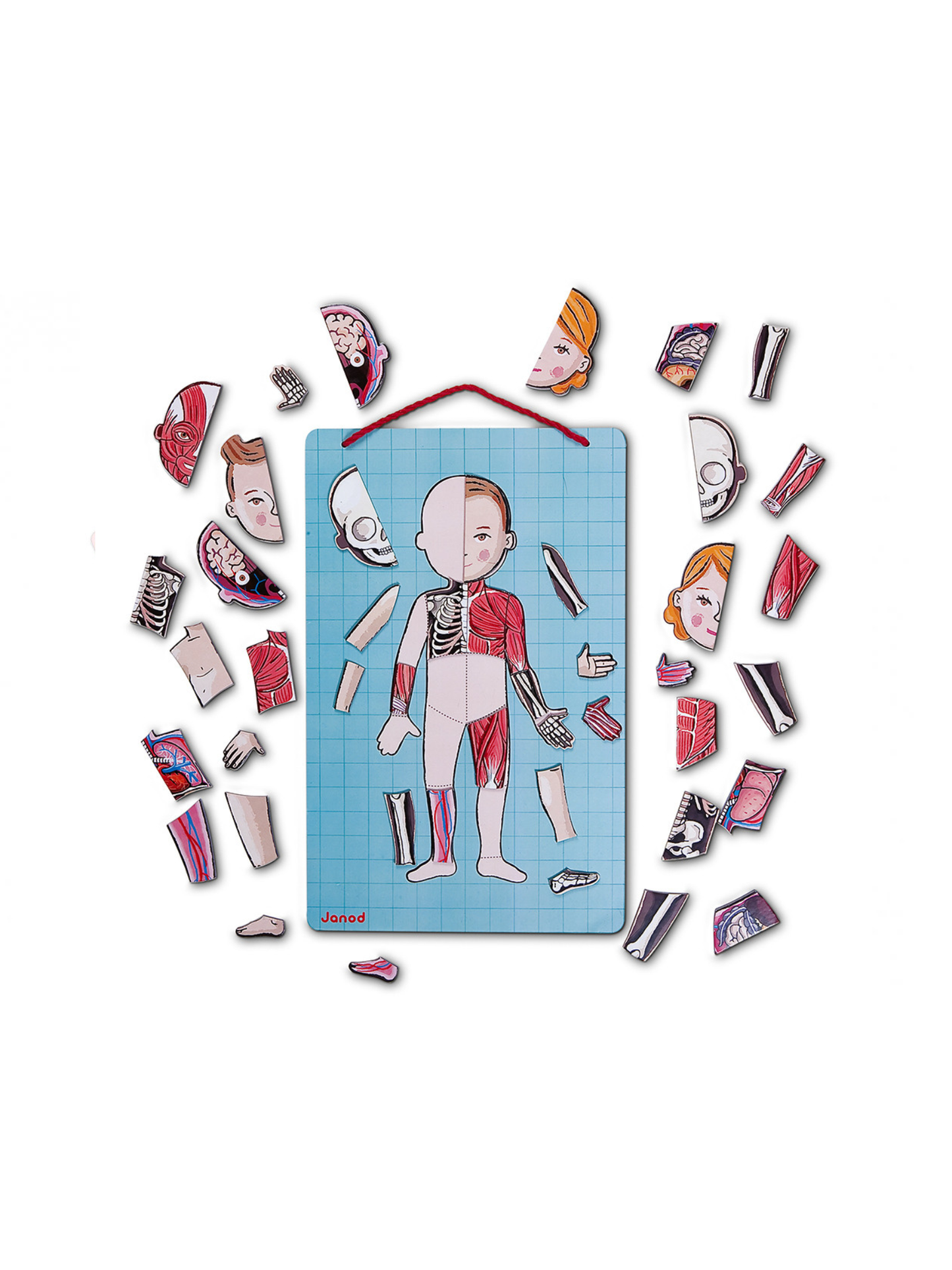 BODYMAGNET EN 12 IDIOMAS