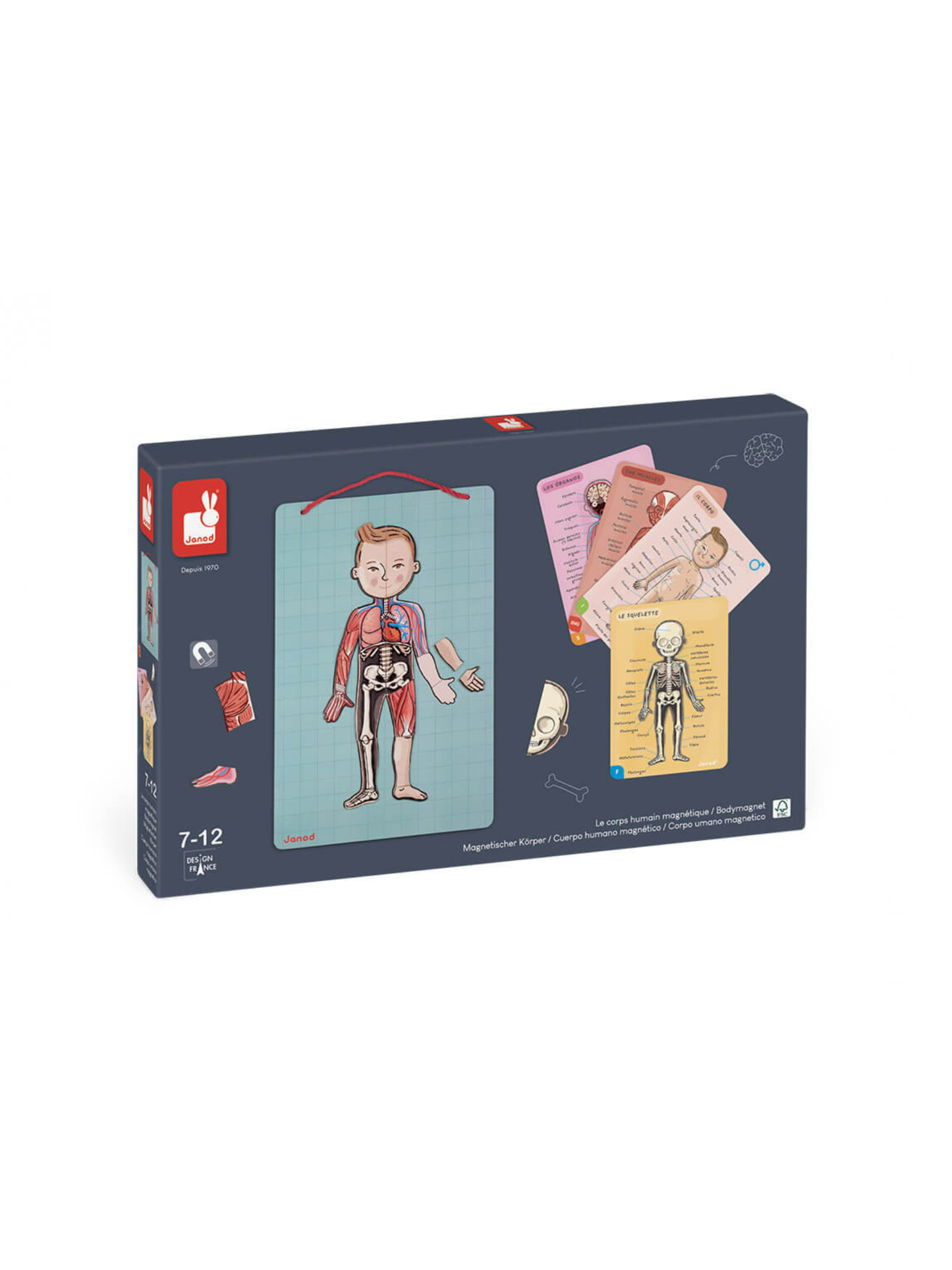 BODYMAGNET EN 12 IDIOMAS