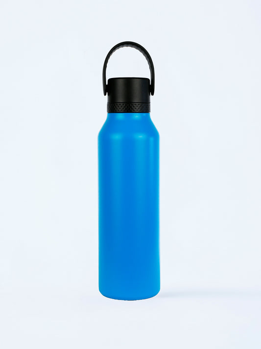 STAINLESS STEEL THERMAL BOTTLE IN VARIOUS COLORS