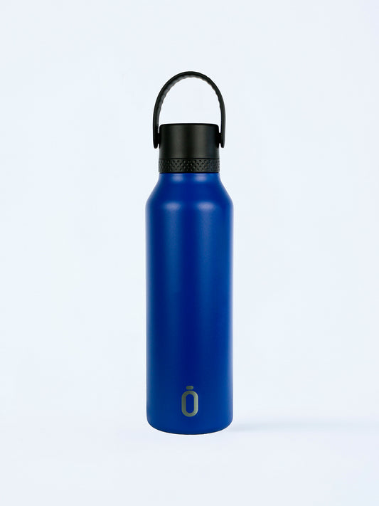 STAINLESS STEEL THERMAL BOTTLE IN VARIOUS COLORS