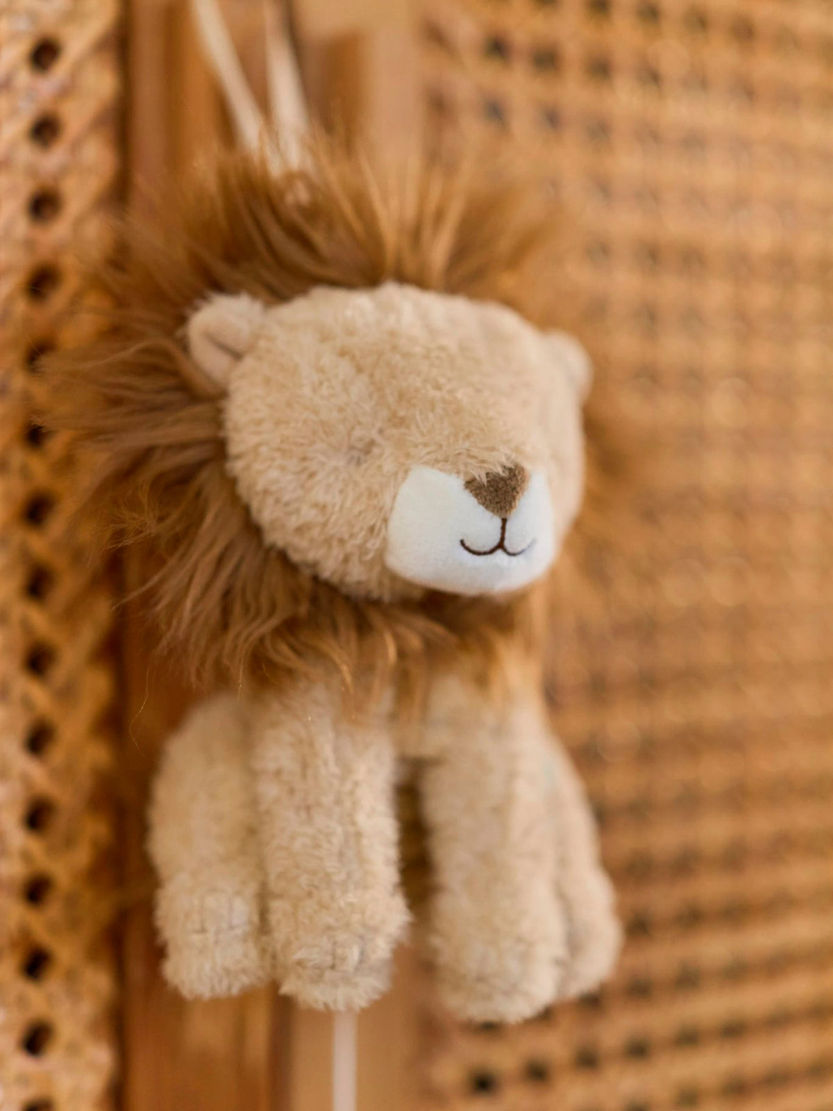 LEÓN MUSICAL SAFARI FRIENDS Little dutch KIDSME