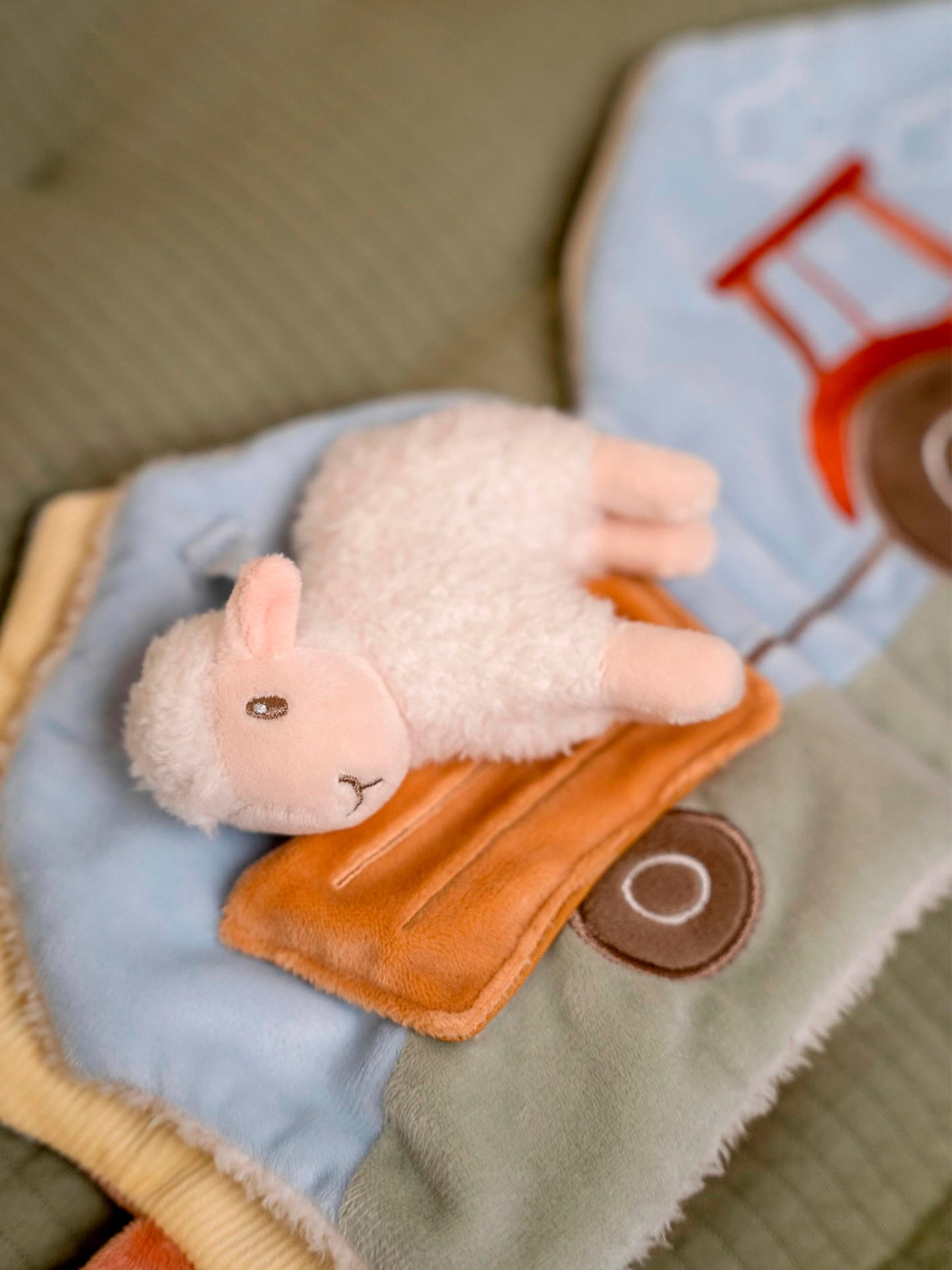 BUTTERFLY ACTIVITIES CLOTH BOOK