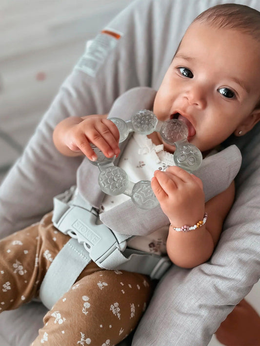 MORDEDOR REFRIGERANTE ANILLA MOSS