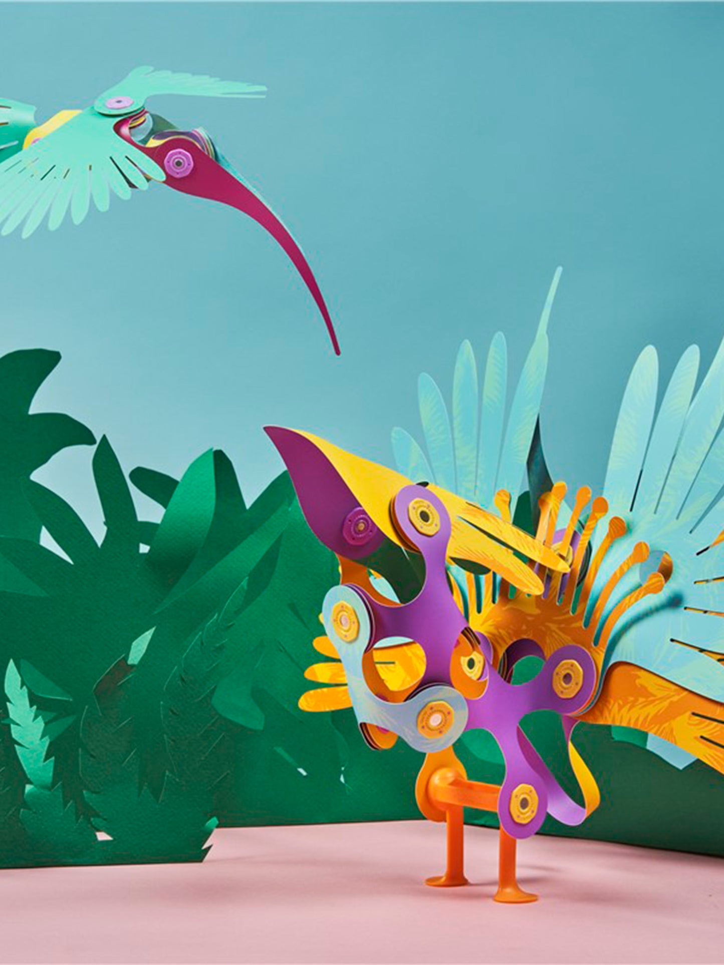 CLIXO TROPICAL BIRDS