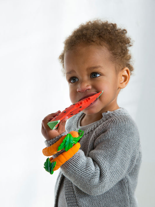 MORDEDOR WALLY THE WATERMELON Oli & Carol KIDSME