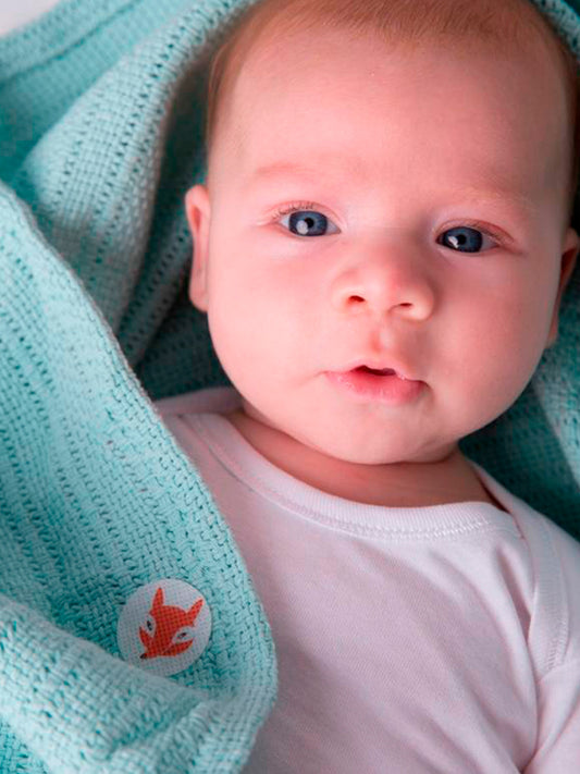 24 PARCHES ANTIMOSQUITOS NATURALES Squitos KIDSME